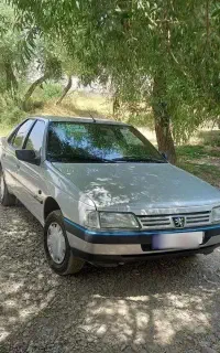 پژو۴۰۵
