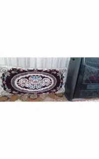 ۲جفت پشتی