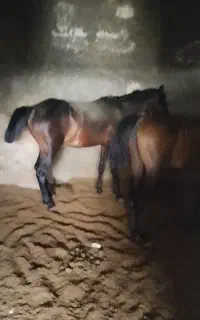سلام خدمت دوستان