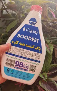 شوینده ی همه کاره ی بودیت