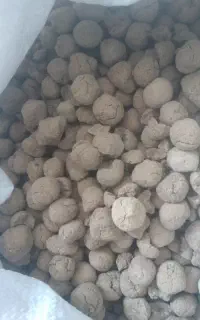 کلگ شیرین درجه یک با کنگر خشک و تجیک