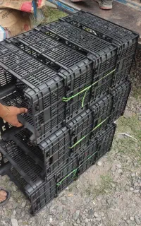 سبد14کیلویی
