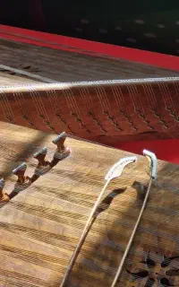 آموزش تخصصی سنتور و تار و سه تار دو تار