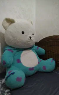 خرس سالوانی