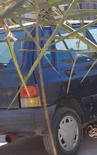 پراید هاشبک