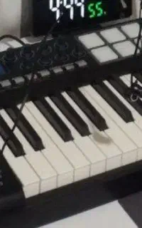 Midi Controller