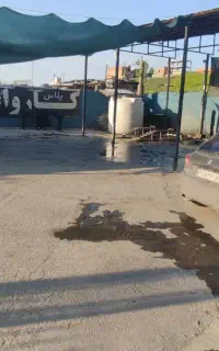 نیروی کار کارواش