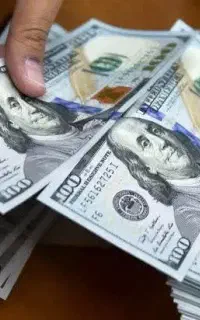 ضامن وگیرنده