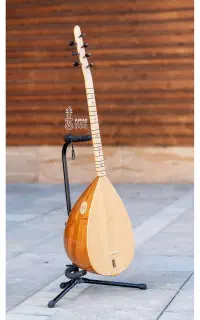 ساز دیوان دسته بلند