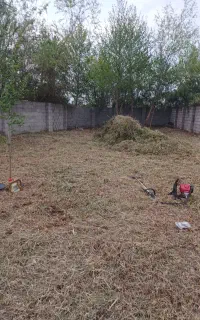 خدمات چمن زنی و باغبانی، علف زنی به همراه سم پاشی