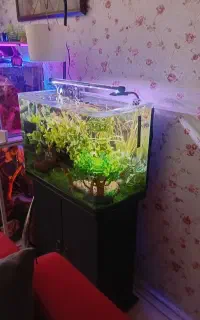 اکواریم درجه یک