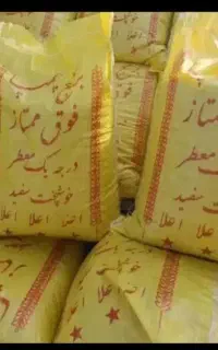 حراج برنچ کامفیروزی