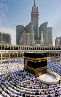 خرید۳الی ۷عدد فیش حج تهران (کارگزاری)