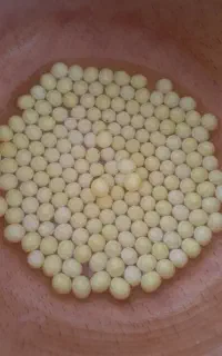 خاویار حلزون