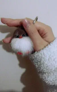 جوجه رنگی