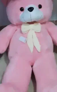 خرس۱/۵متری