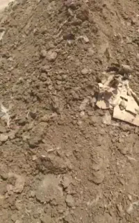 سلام خرید کود مرغی