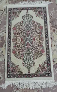 ۲عدد پادری ۳میلیون