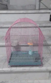 قفس پرنده نو