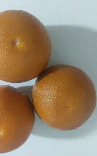 میوه مصنوعی