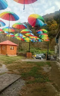 آشپز حرفه ایی و کارگر ساده
