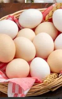 تخم مرغ محلی