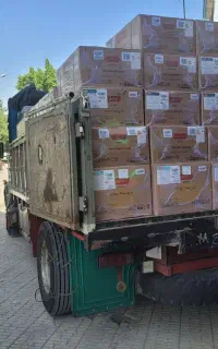 جشنواره فروش پکیج دیواری لورچ مدل هرما
