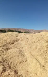 کاه