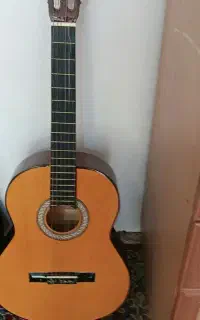 گیتار نو
