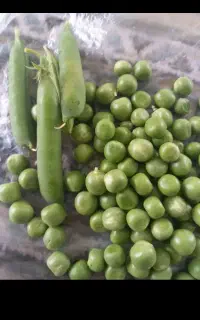 خوردن و آشامیدن
