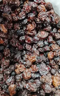آلوچه امسالی