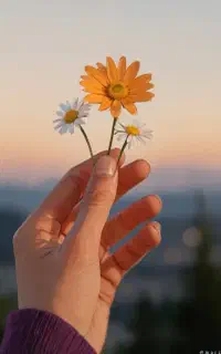 فروش سیم کارت داعمی