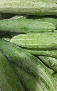 خیارمحلی کیلویی۷۰