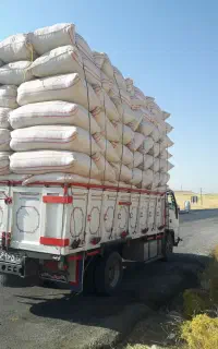کاه گندم دیمی درجه یک