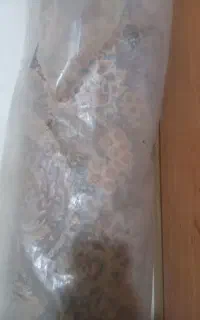 فرش ۹‌متری توس مشهد
