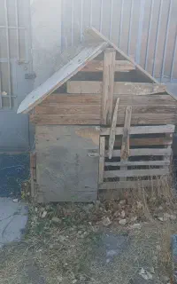 کلبه سگ