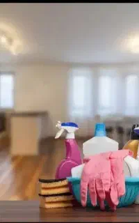 نیارمند کار در منزل و نظافت