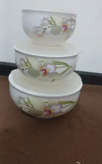 ۳ عدد ظرف چینی