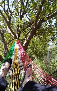 ننو دستباف