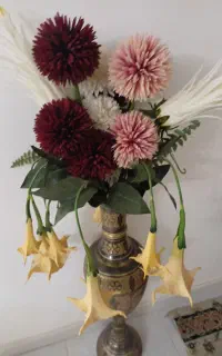 گلها نو