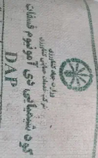 کود دی آمونیوم شکلاتی ۱۶کیسه