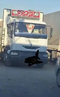 رنوتک باری