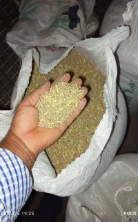 عدس و گاودانه هریس