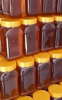 عسل درمانی