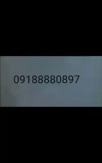 شماره تلفن