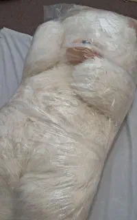 خرس یک متری