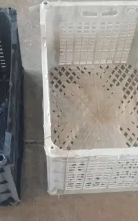 قالب سبد ۱۴کیلویی