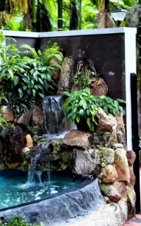 سم پاشی کود دهی باغبانی هرس گل و درخت ....