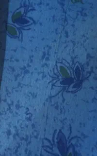 موکت طرح دار درحدنو