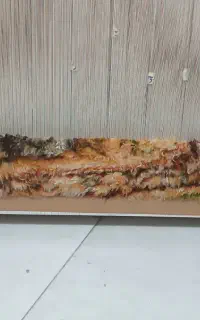 کار در خانه وکار گاه قالی بافی دست مزد ماهیانه
